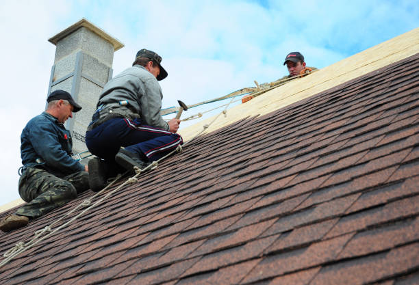 Best Residential Roofing Contractor  in Mount Vernon, IA